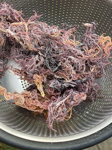 Full Spectrum (Multi-Colored) Raw Sea Moss - healthyvibezshop